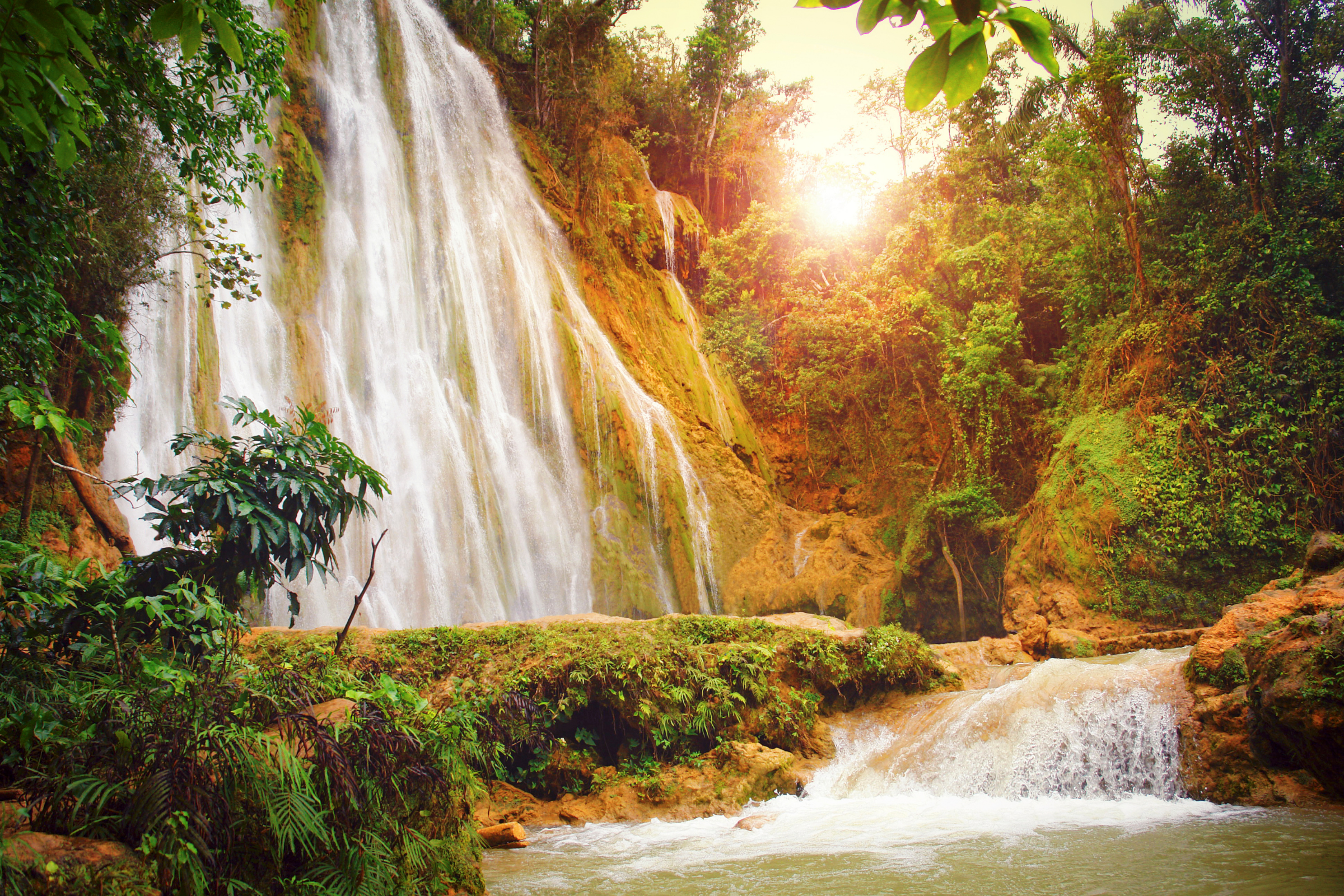pacuare river, limon 04.webp